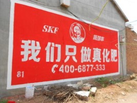眉山刷墙广告”蕴含了时代命题