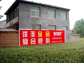 眉山如何让墙体广告展现最大化效果