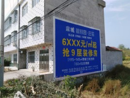 眉山墙体广告质量分析